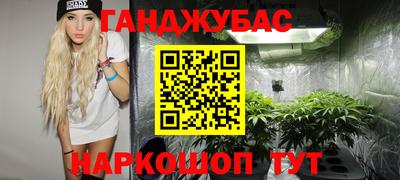 дурь Будённовск