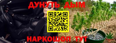 мяу мяу мука Бузулук
